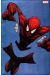 Spider-man (2012) tome 1 (variant cover)