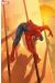 Spider-man (2012) tome 8 (variant cover)