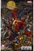 Age Of Ultron tome 3