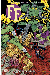 FF Marvel now ! tome 2 - futurs impossibles