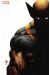 Wolverine 2013 tome 20 (variant cover)