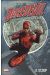 Daredevil, l'homme sans peur tome 1