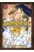 Saint Seiya next dimension tome 11