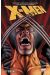 X-men - Les origines