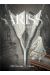 Sarissa of noctilucent cloud tome 3