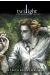 twilight - fascination tome 2