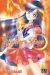 sailor moon tome 3