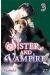 Sister and vampire tome 3