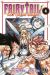 Fairy tail - 100 years quest tome 4