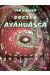 Doctor Ayahuasca