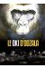 Le Oki d'Odzala