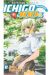 ichigo 100% tome 17