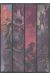 le serment de l'ambre - coffret tome 1 à tome 5