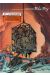 trolls de troy tome 5 - les maléfices de la thaumaturge