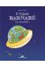 L'ours Barnabé tome 19