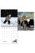 Tintin - Calendrier 2018