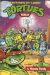 Tortues ninja (Comics USA - spécial USA) tome 4