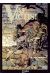 vae victis tome 8 - sligo l'usurpateur