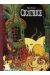 cicatrice