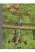 Angel Wings tome 2 - grand format