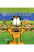 Garfield poids lourd tome 9