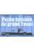 petite histoire du grand texas