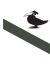 les oiseaux sont des cons
