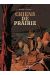 Chiens de prairie