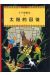 les aventures de Tintin tome 14 - le temple du soleil