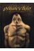 pinocchio ; histoire d'un enfant