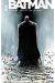 Batman sombre reflet - intégrale