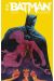 Batman anarky