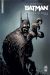 Batman la cour des hiboux (Nomad) tome 1