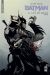 Batman la cour des hiboux (Nomad) tome 2