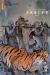 Fables (nomad) tome 1