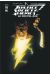 Justice society of america tome 2