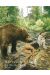 Le fils de l'ours - édition spéciale