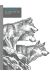 Le loup m'a dit - intégrale - éd. spéciale