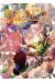 Final fantasy - lost stranger tome 8