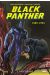 Black panther - intégrale tome 5