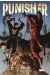 Punisher tome 2
