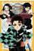 Demon slayer - roman jeunesse tome 1