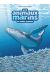 Les animaux marins tome 8