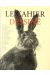 Le cahier dessiné n° 9