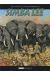 Simba Lee tome 1