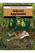 Johnny Appleseed