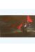 Affiche Drapeau Rouge ; Alice ; Signée & Numérotée 100 ex. ; 50x70