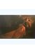 Affiche Sieglinde ; Alice ; 50x70