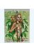 Affiche Merlin ; Brucero ; 40x50