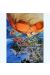 Affiche Pitchi Poï ; Cagniat ; 50x70